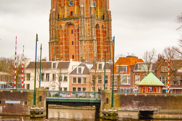 DSC_4999.jpg 